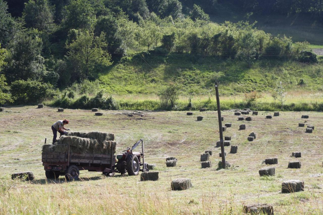 Ethno Village Bogut Bogutovac Dış mekan fotoğraf