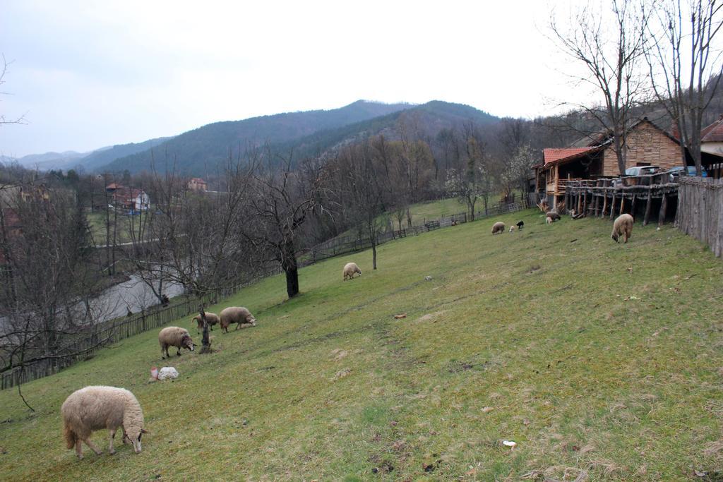 Ethno Village Bogut Bogutovac Dış mekan fotoğraf